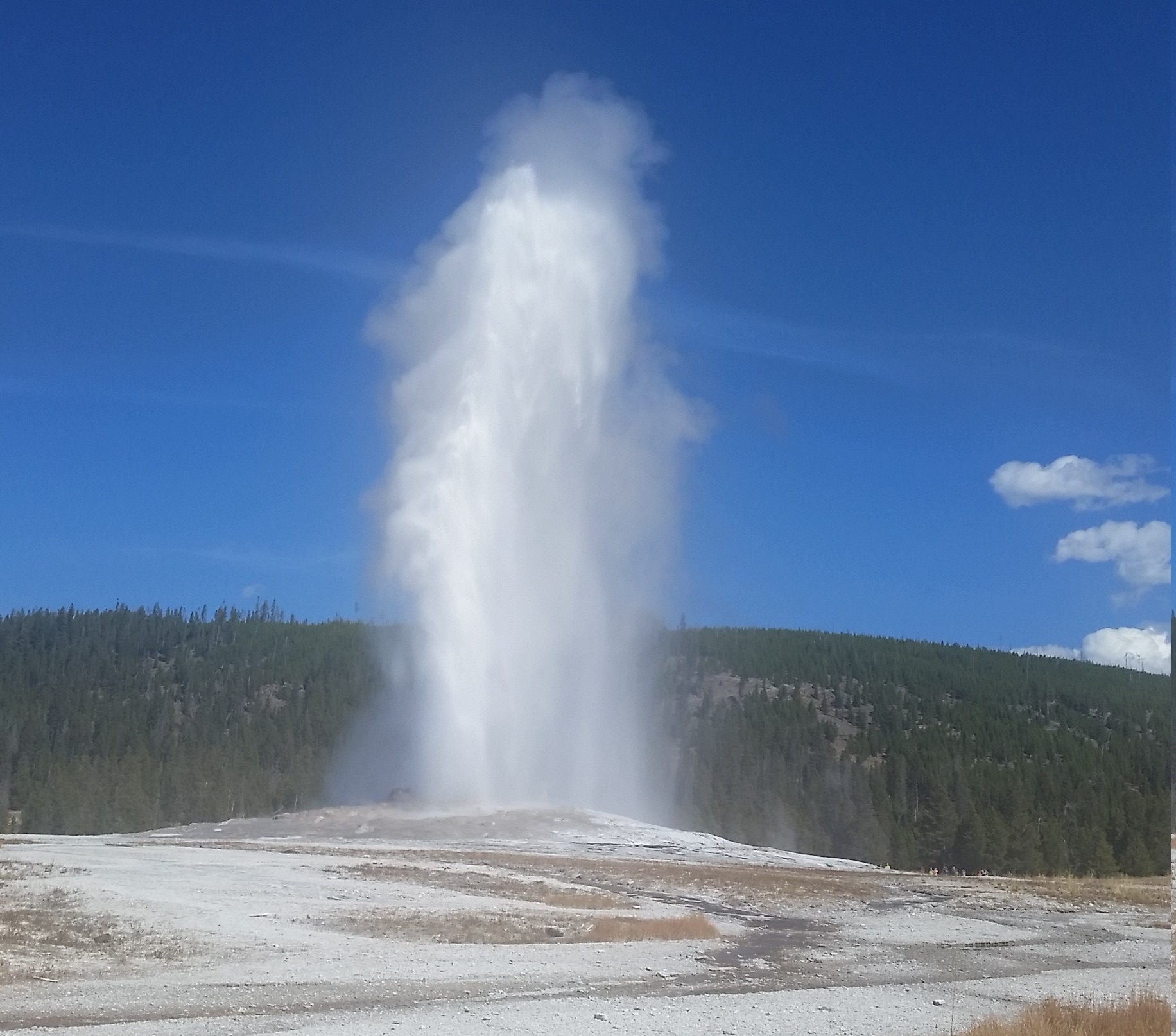 Old Faithful Erupting